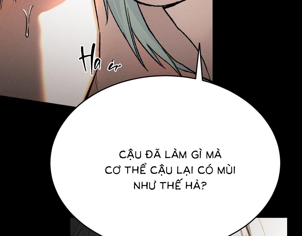 Che Giấu - Chương 4