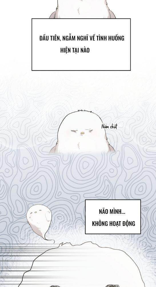 Nè, Đừng Nhấn Vào Nút Đó - Chương 1