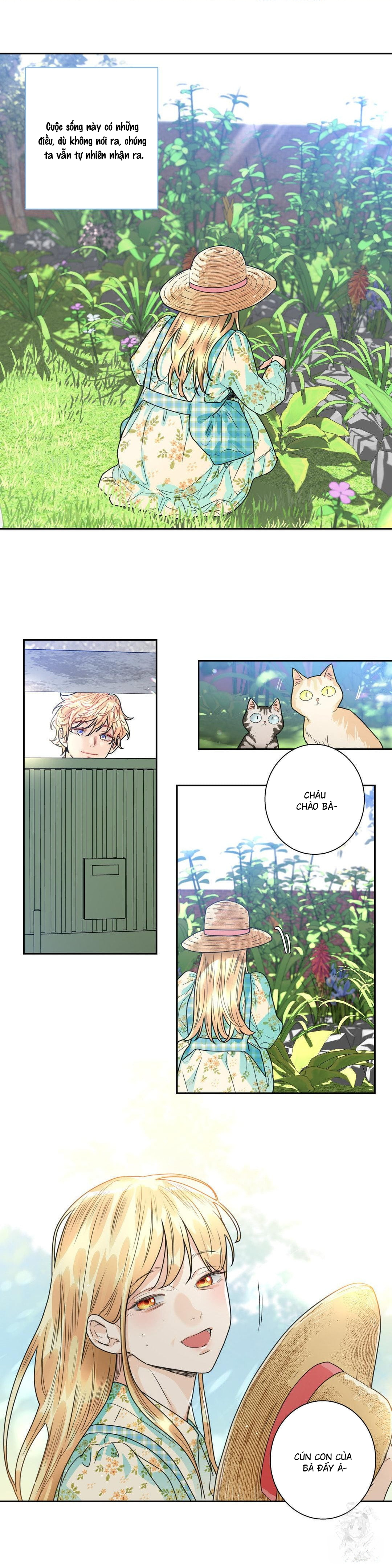 Tình Yêu Là Ảo Ảnh: Siêu Sao - Chương 4