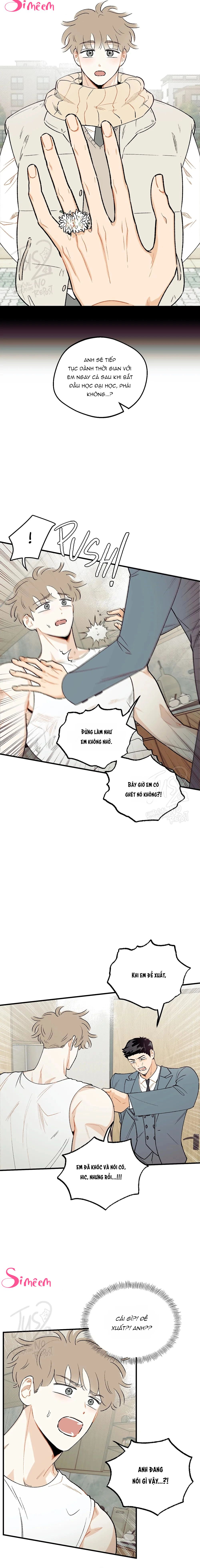 Chapter 5