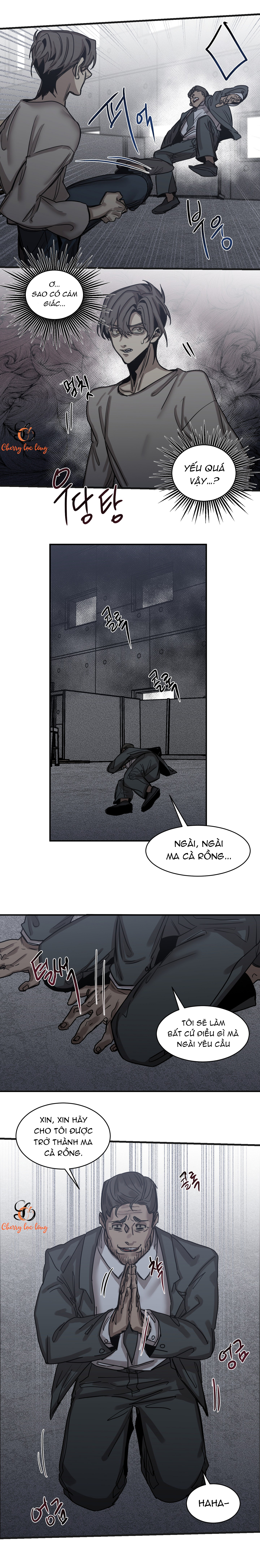 Chapter 95