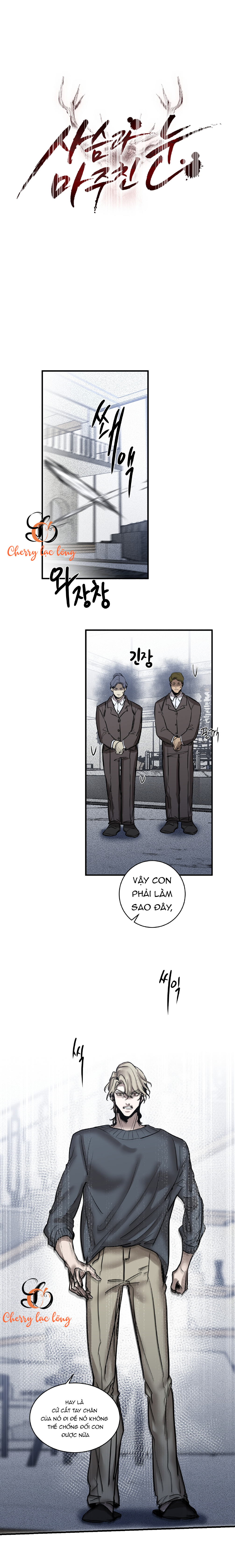 Chapter 116