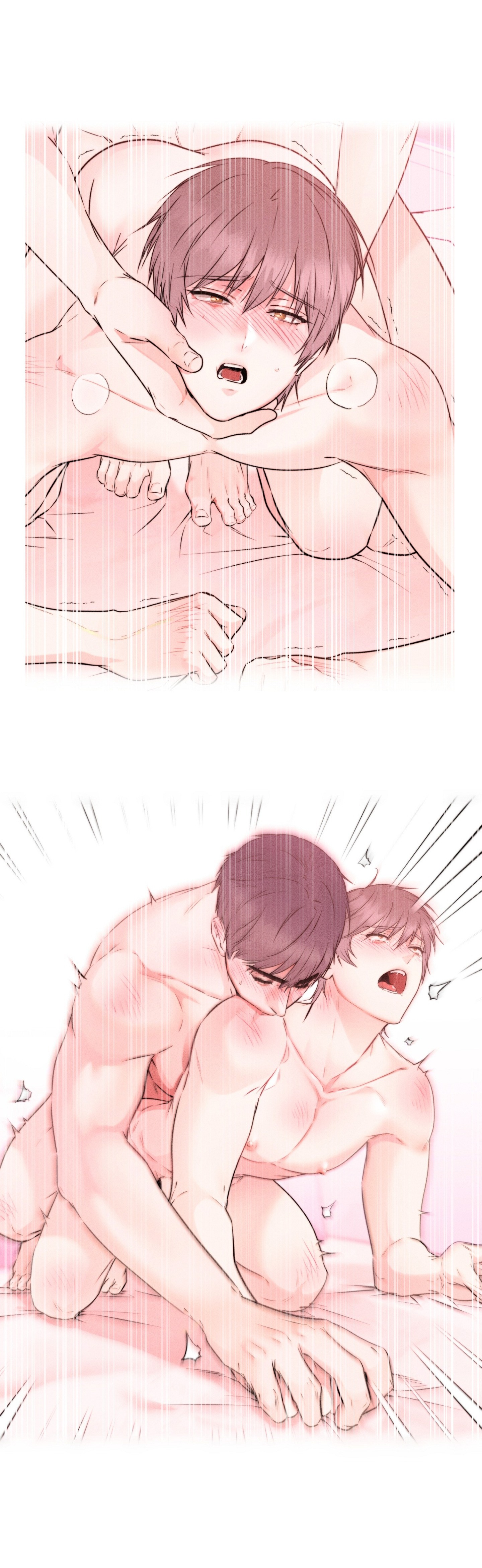 Chapter 24