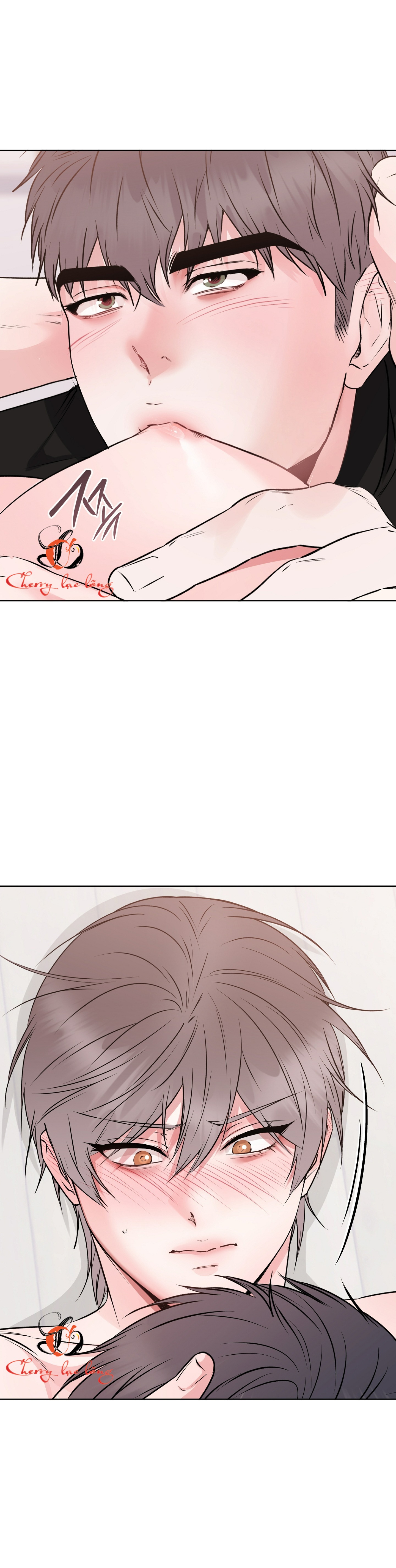 Chapter 26