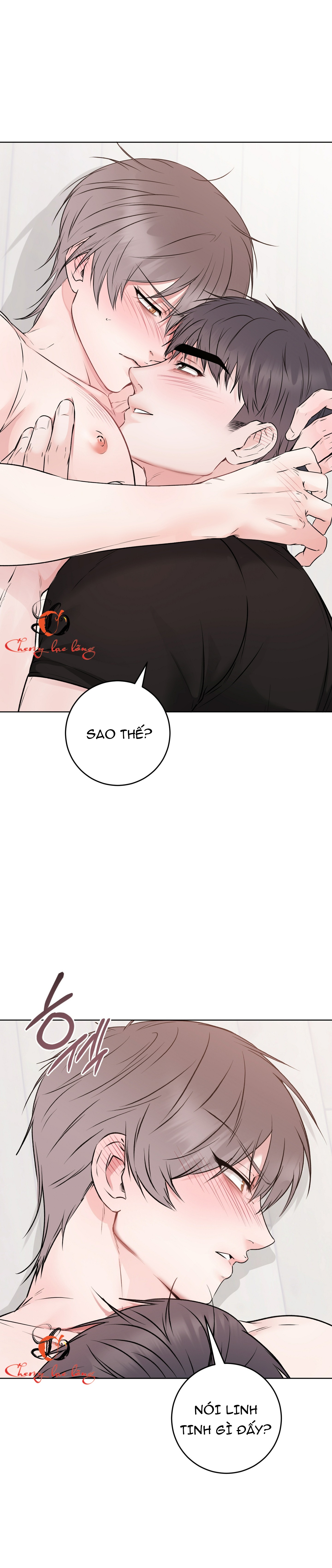 Chapter 26