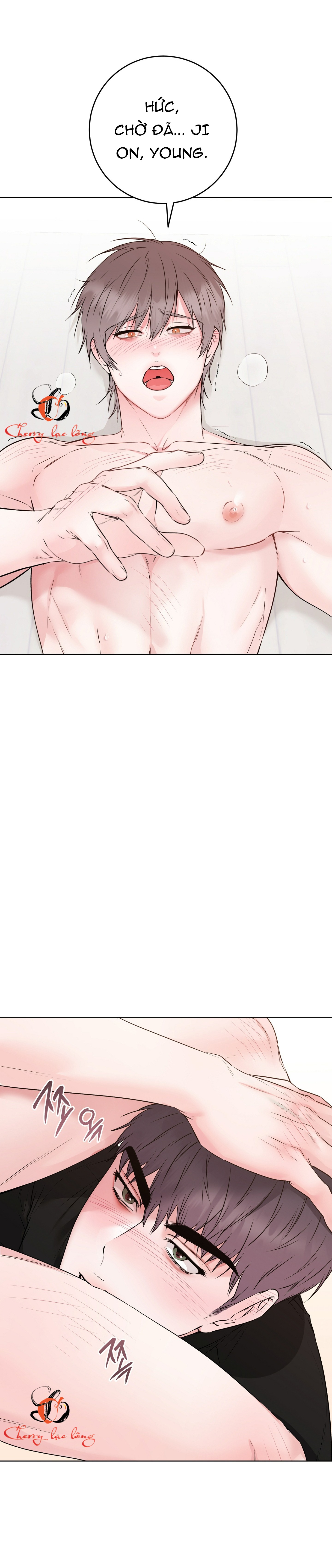 Chapter 26