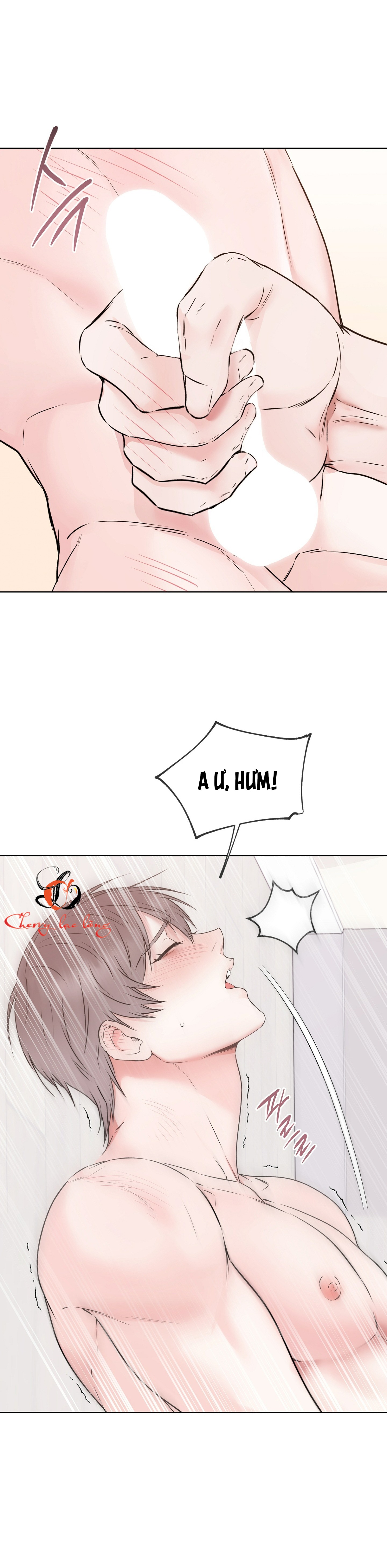 Chapter 26