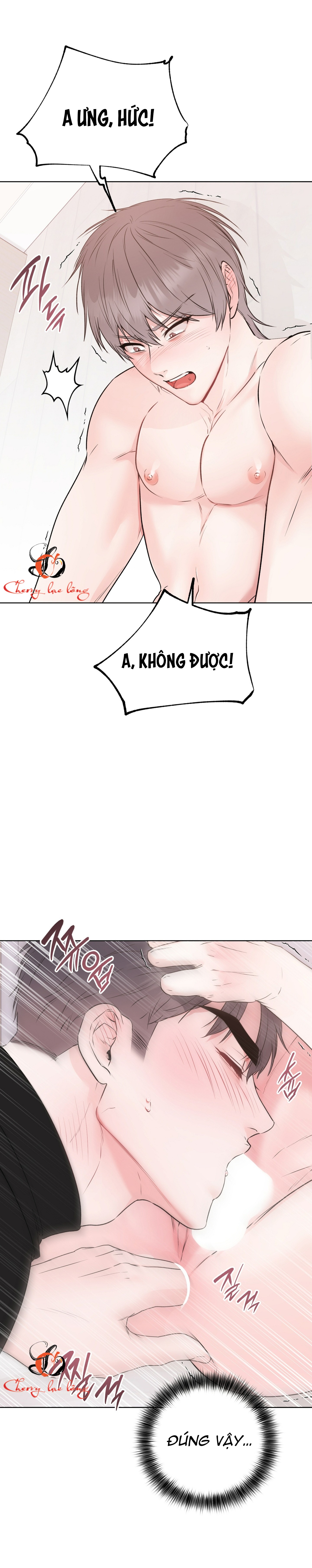 Chapter 26