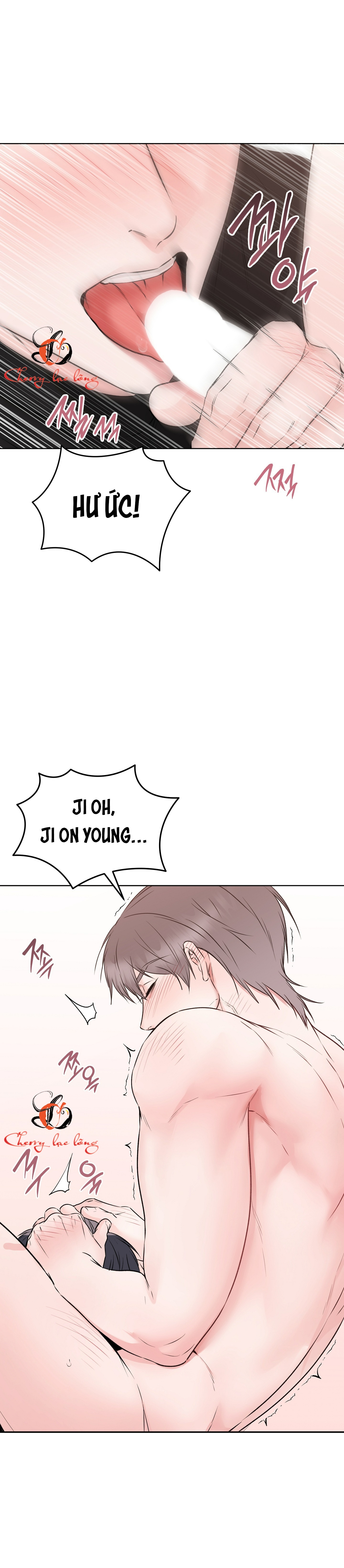 Chapter 26