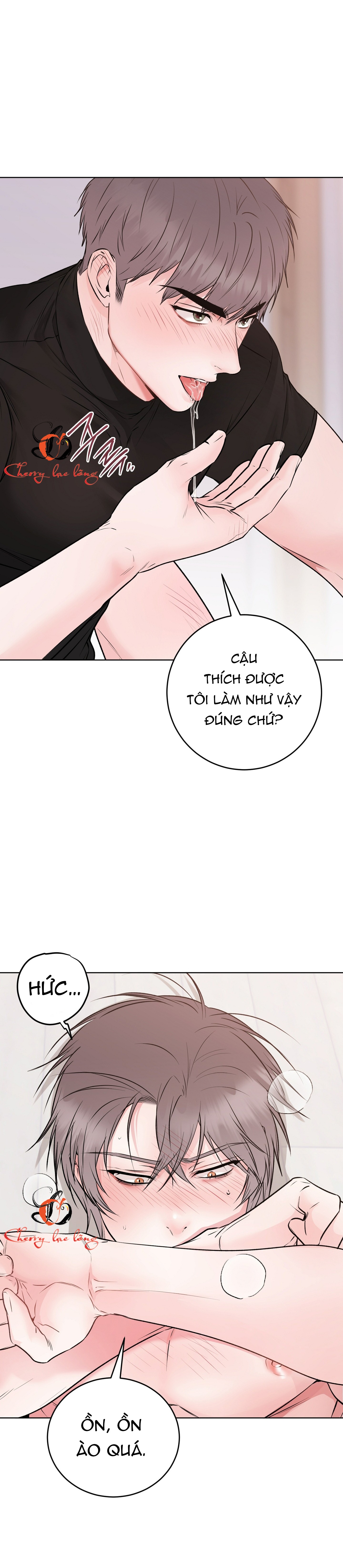 Chapter 26