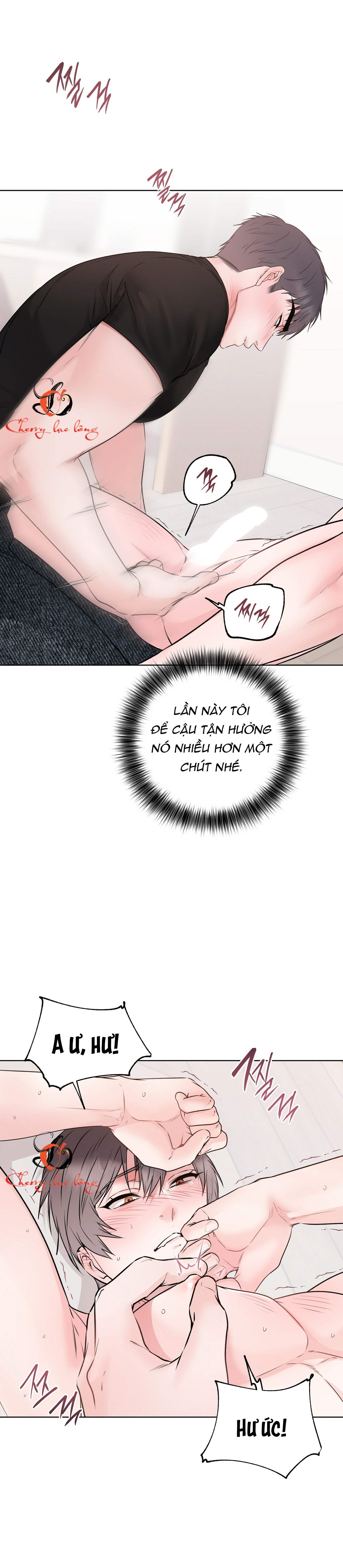 Chapter 26