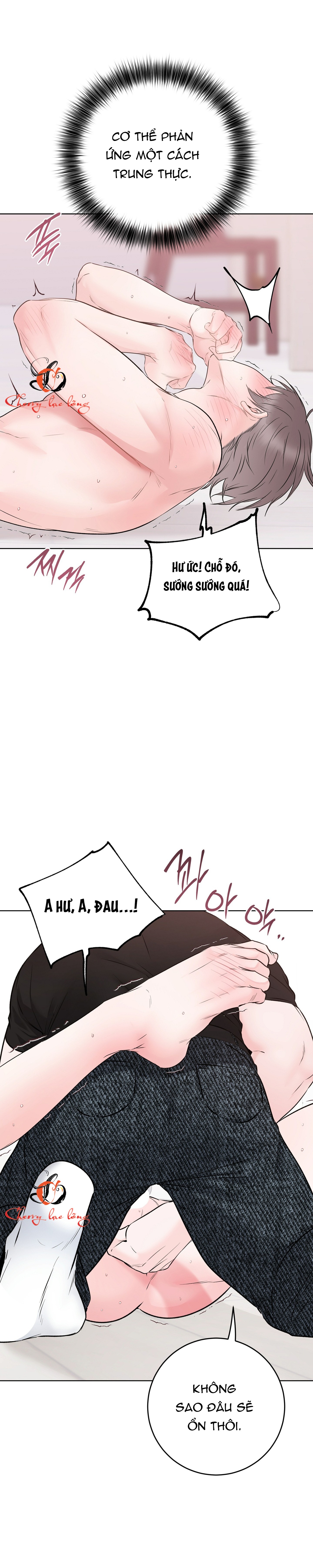 Chapter 26