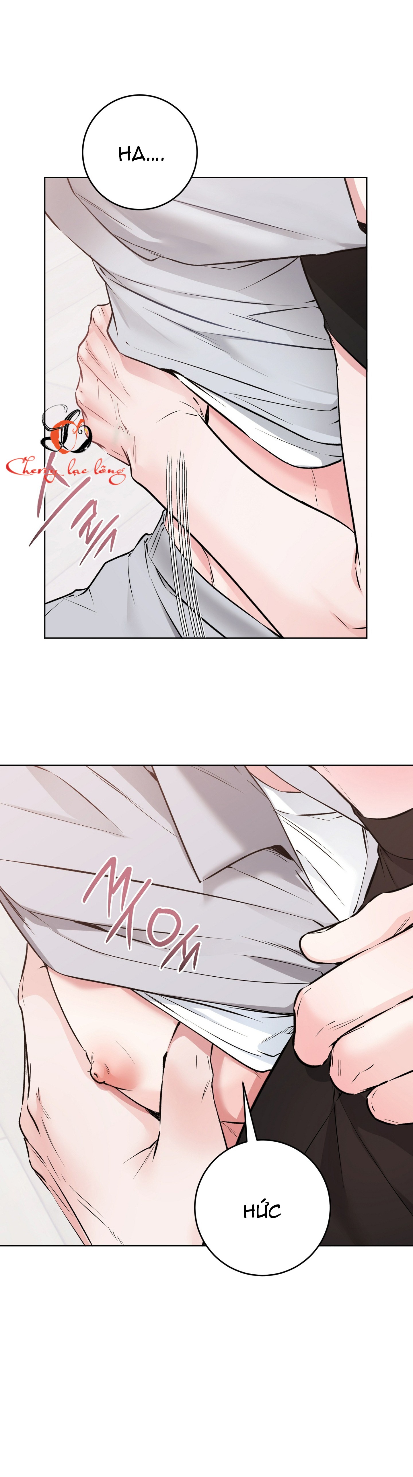 Chapter 26