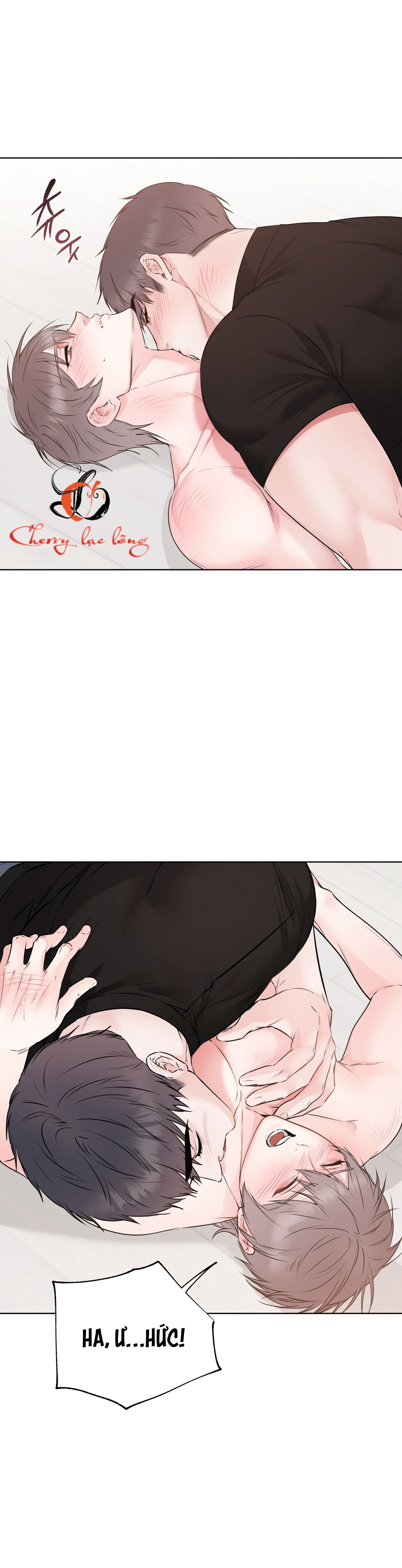 Chapter 26