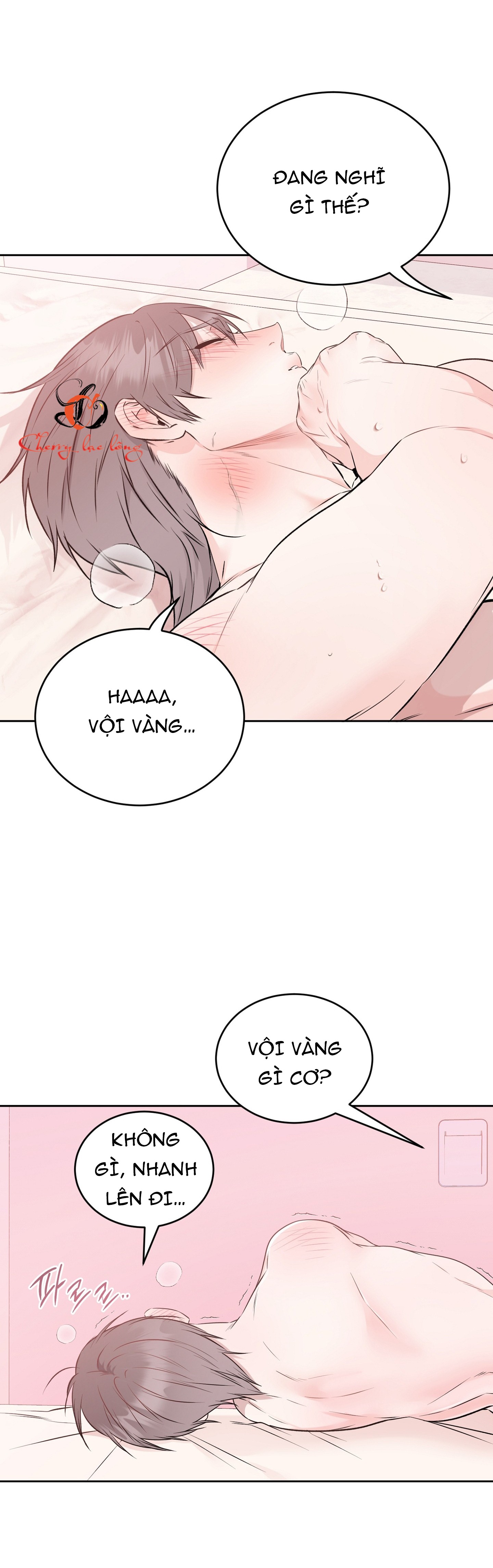 Chapter 17