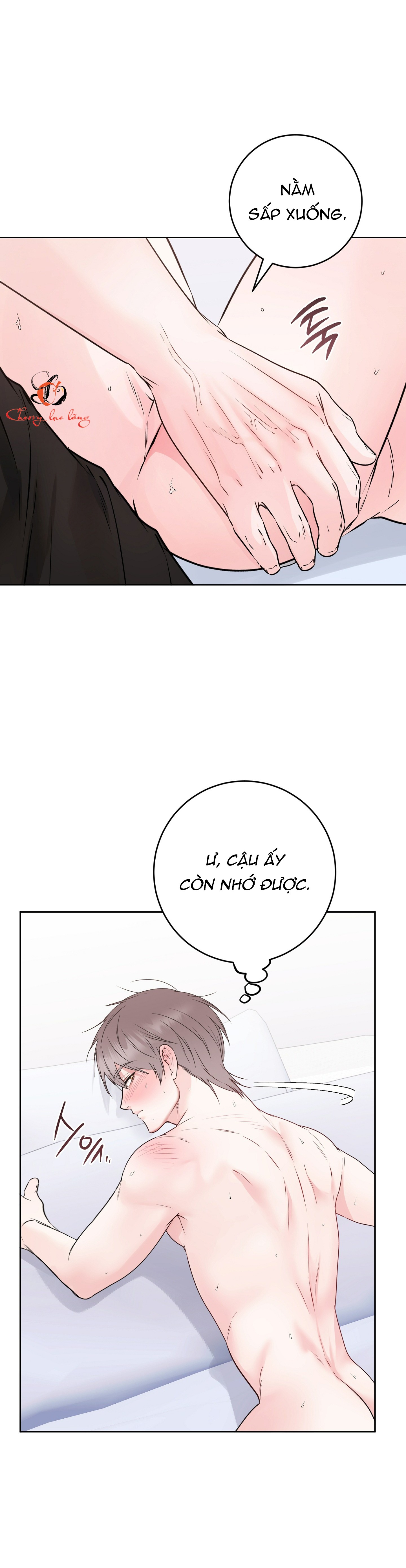 Chapter 31