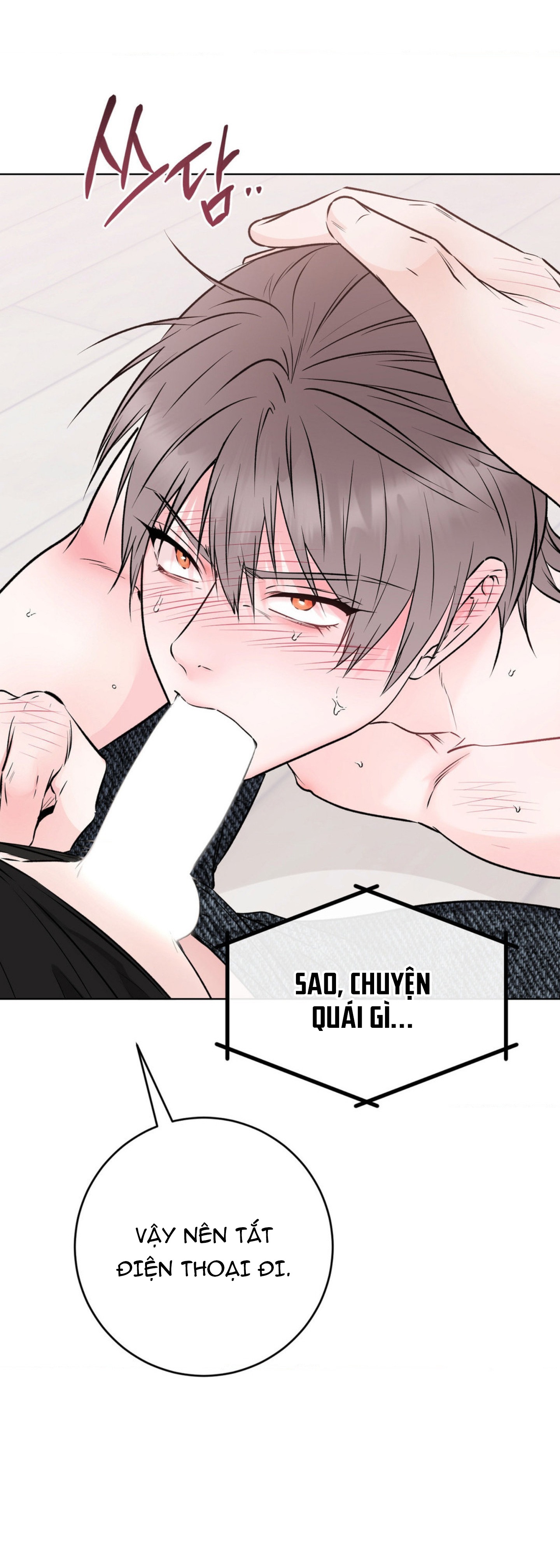 Chapter 29