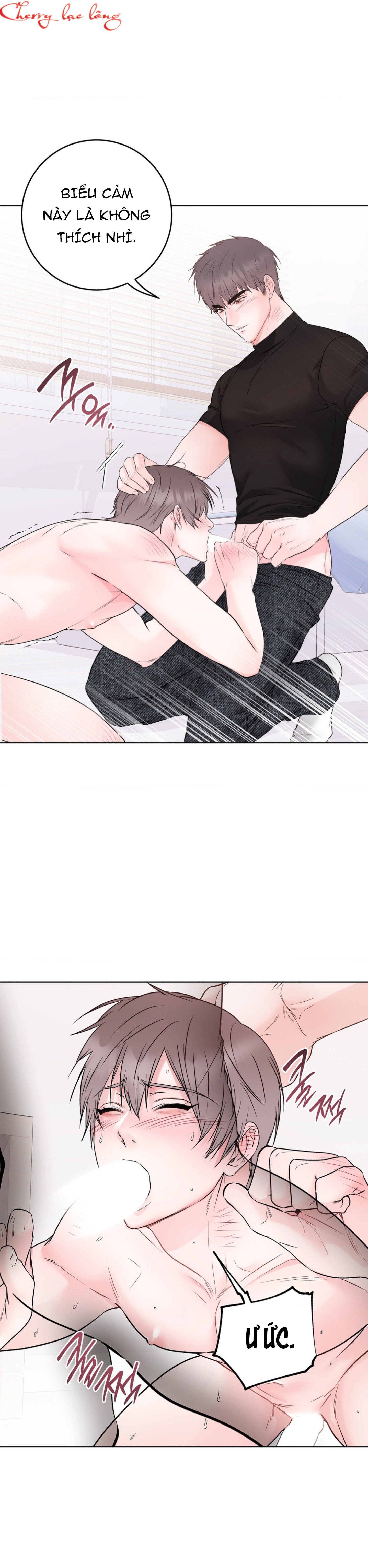 Chapter 29