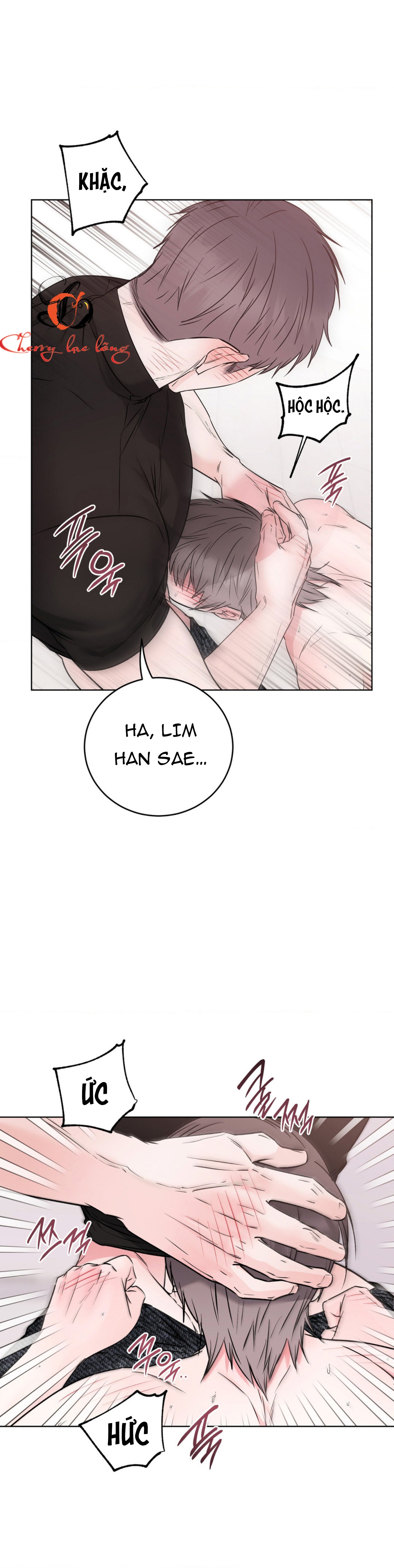 Chapter 29