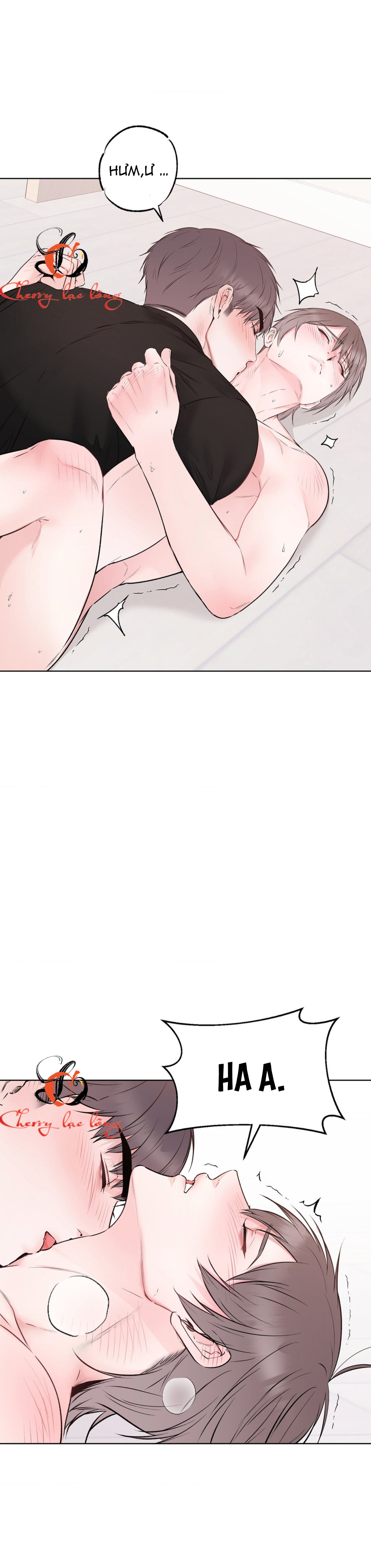 Chapter 29
