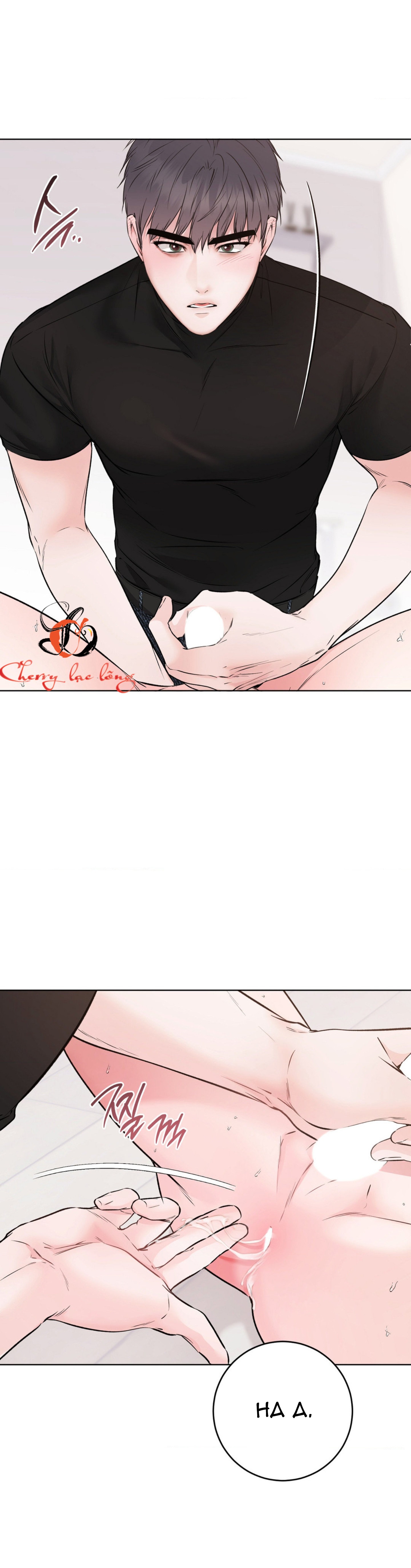 Chapter 29