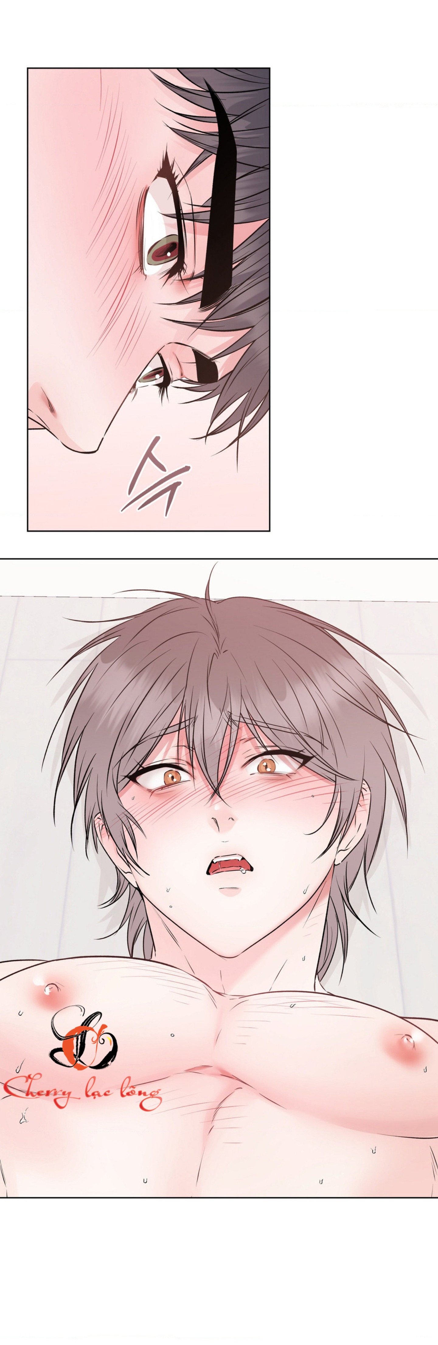 Chapter 29