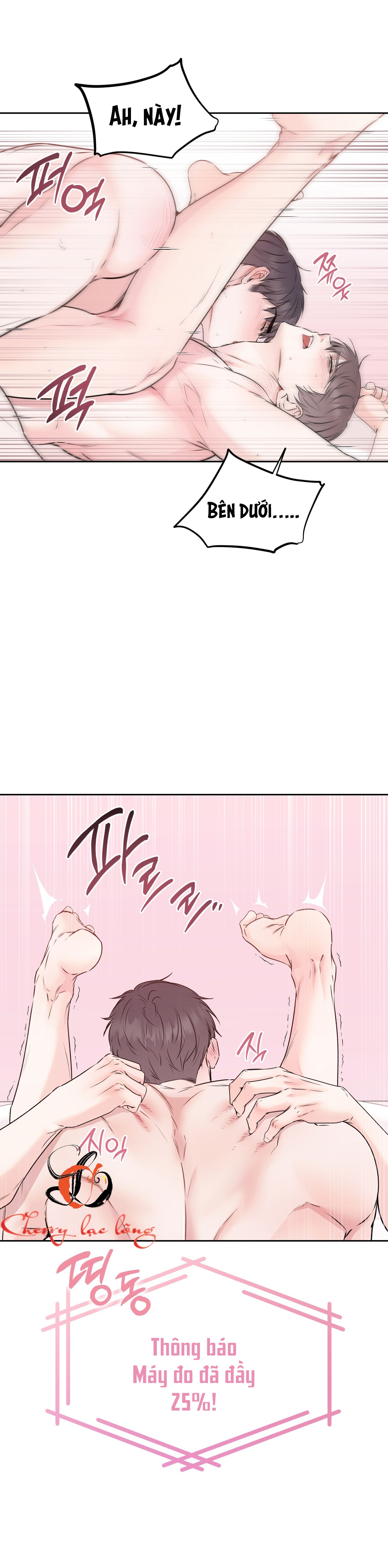 Chapter 19