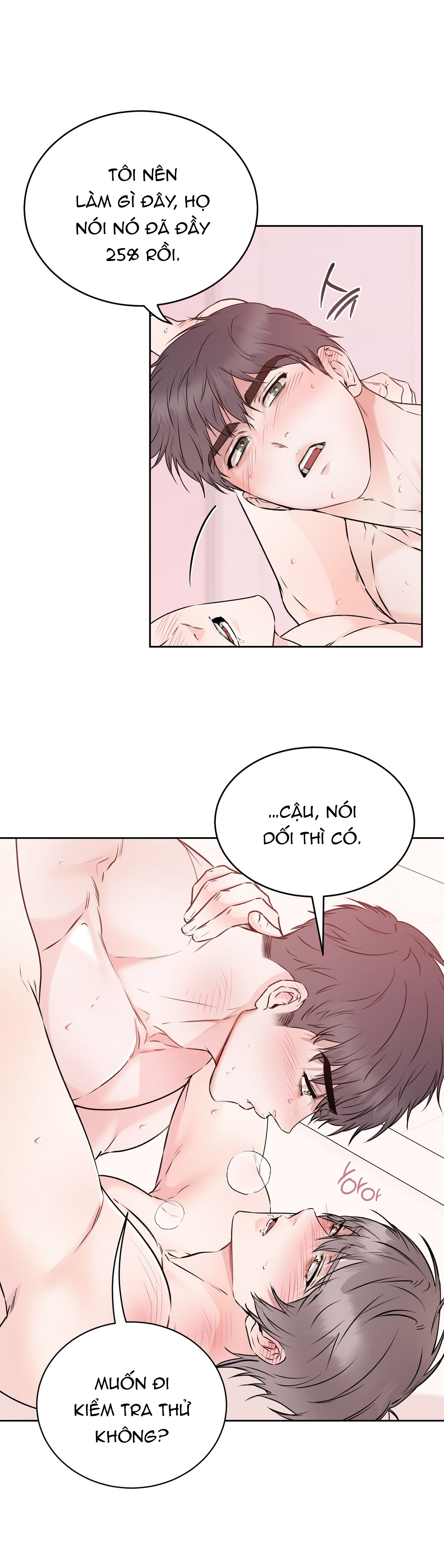 Chapter 19