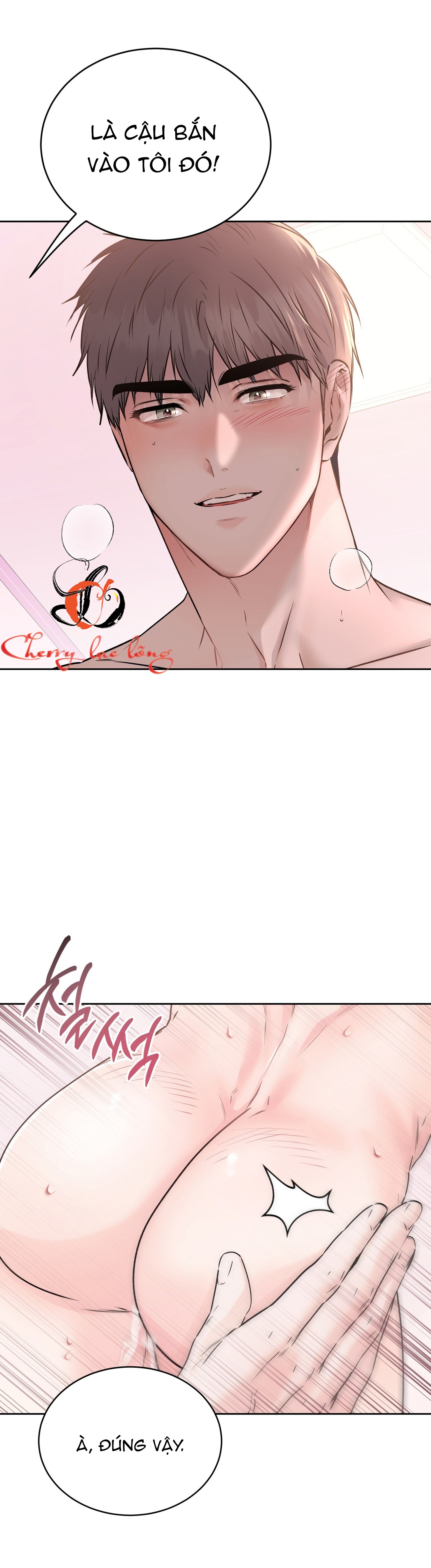Chapter 19