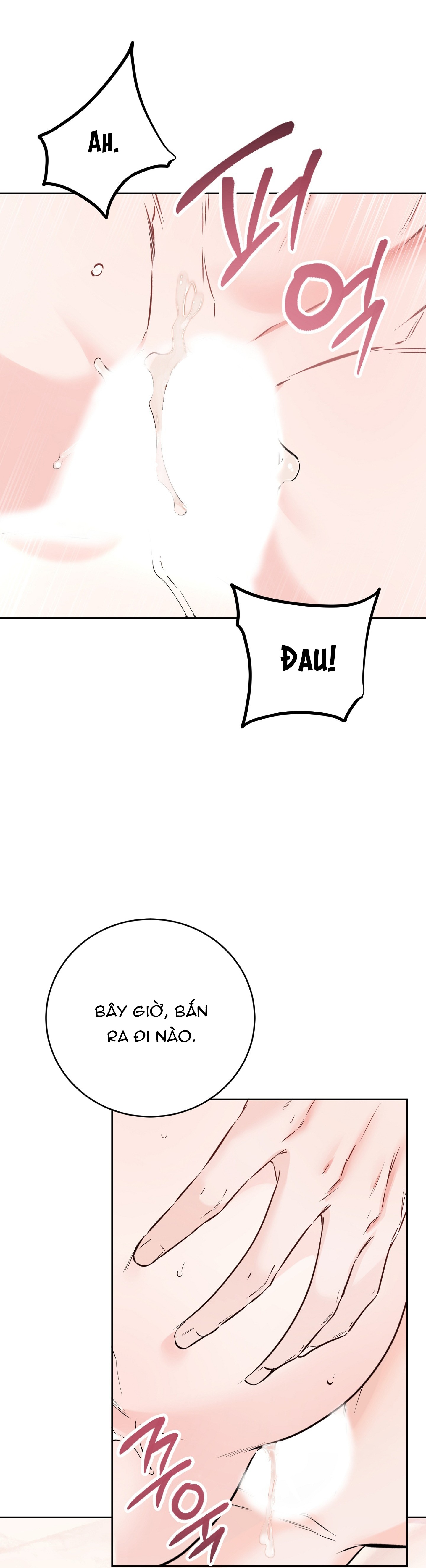 Chapter 19