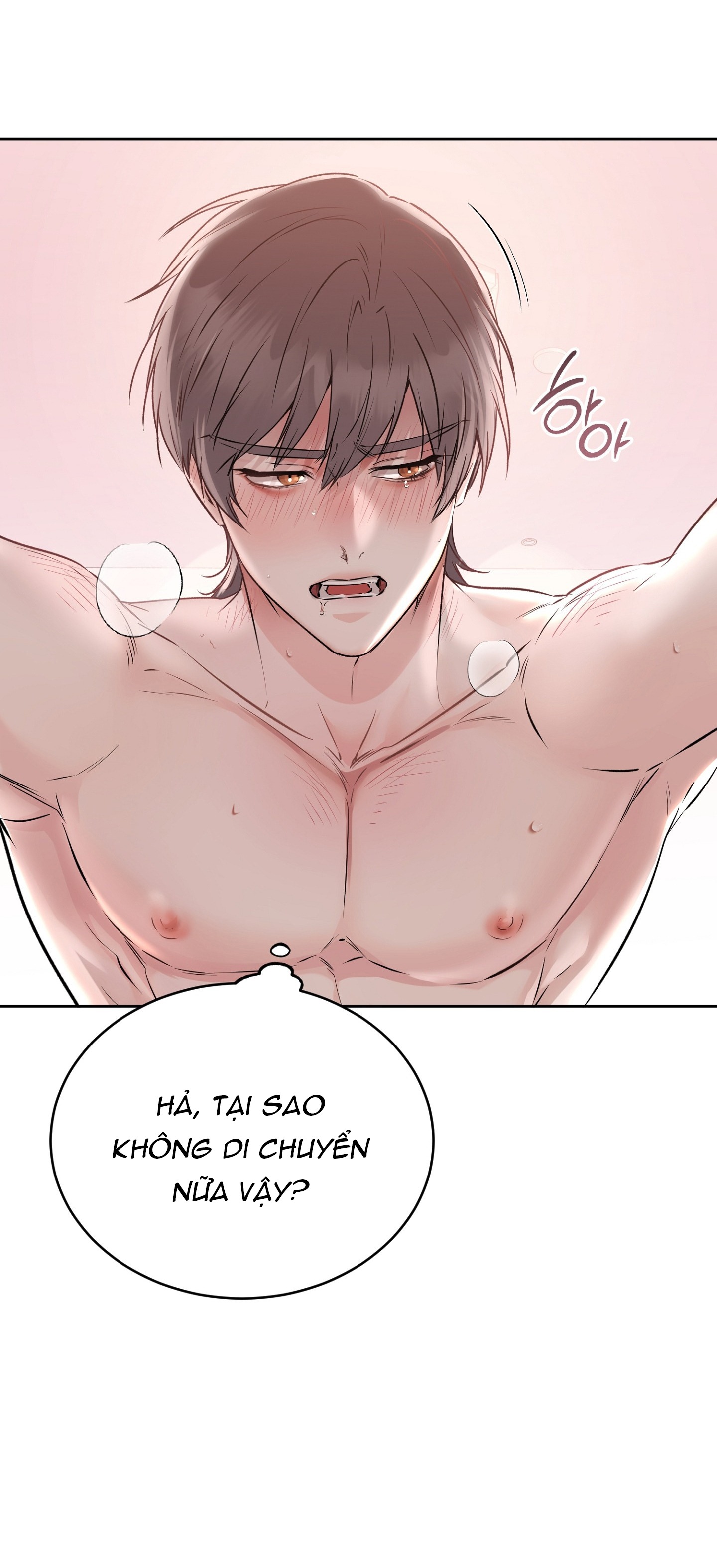 Chapter 19