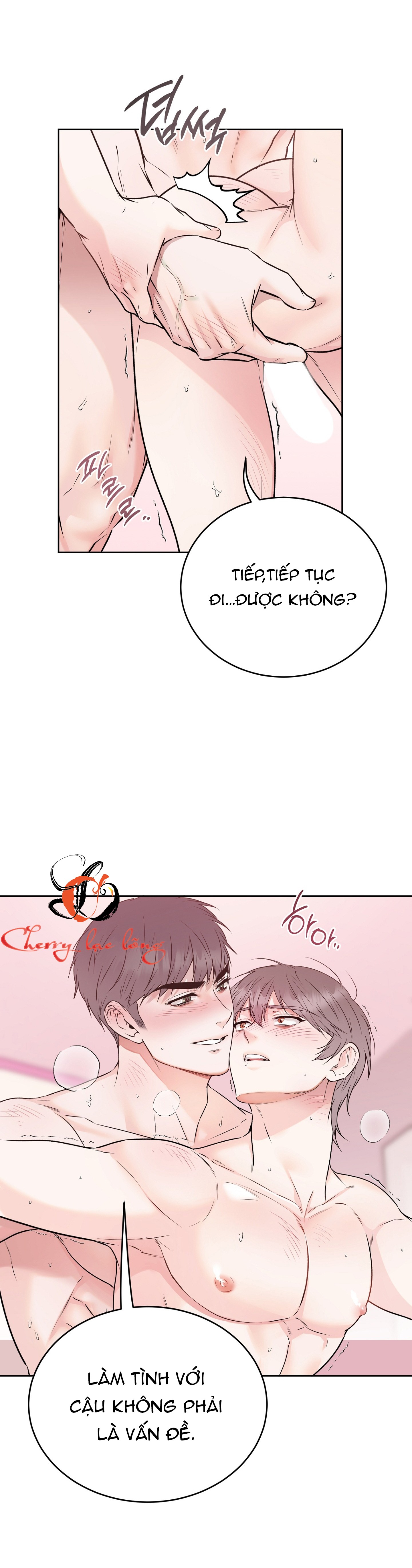 Chapter 19