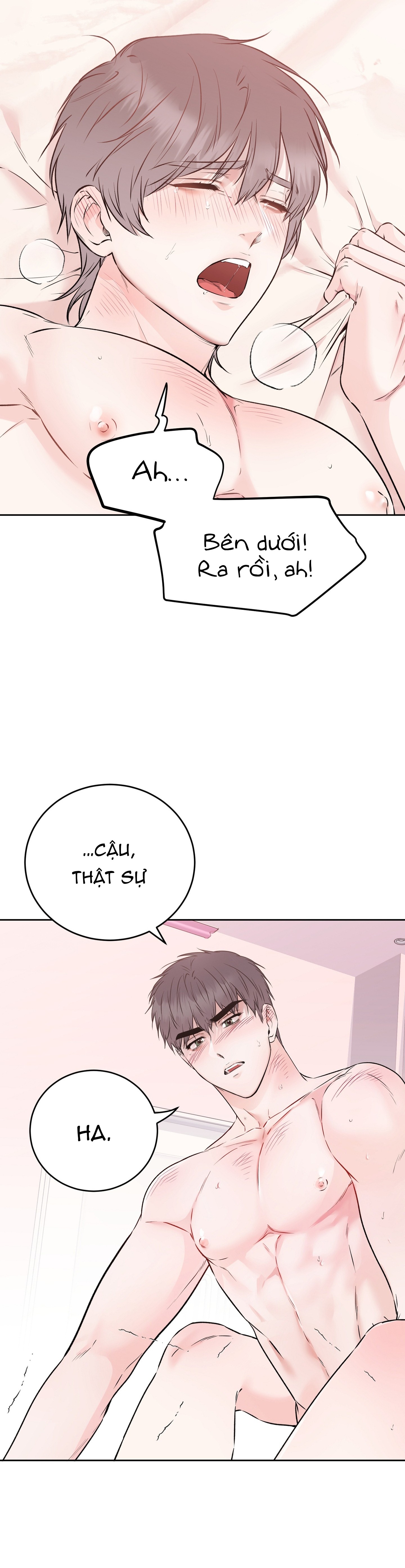 Chapter 19
