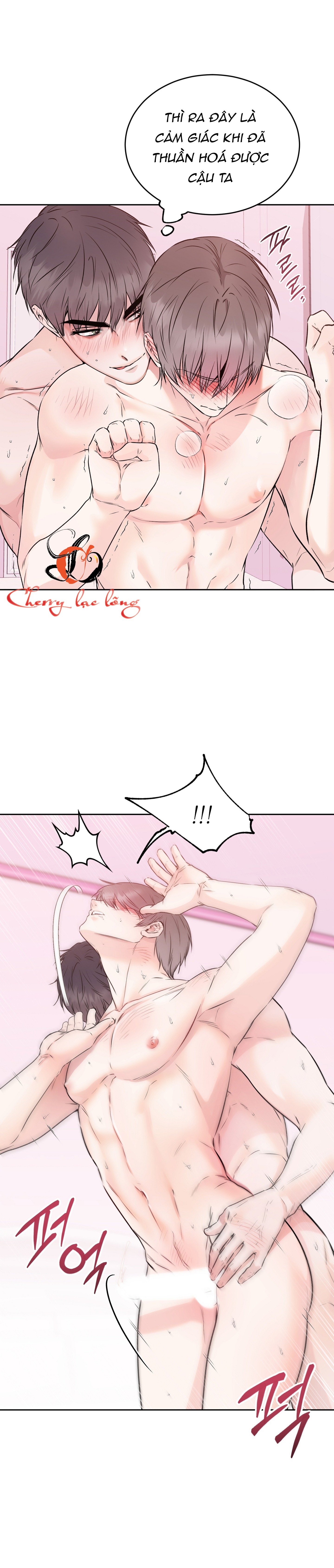 Chapter 19