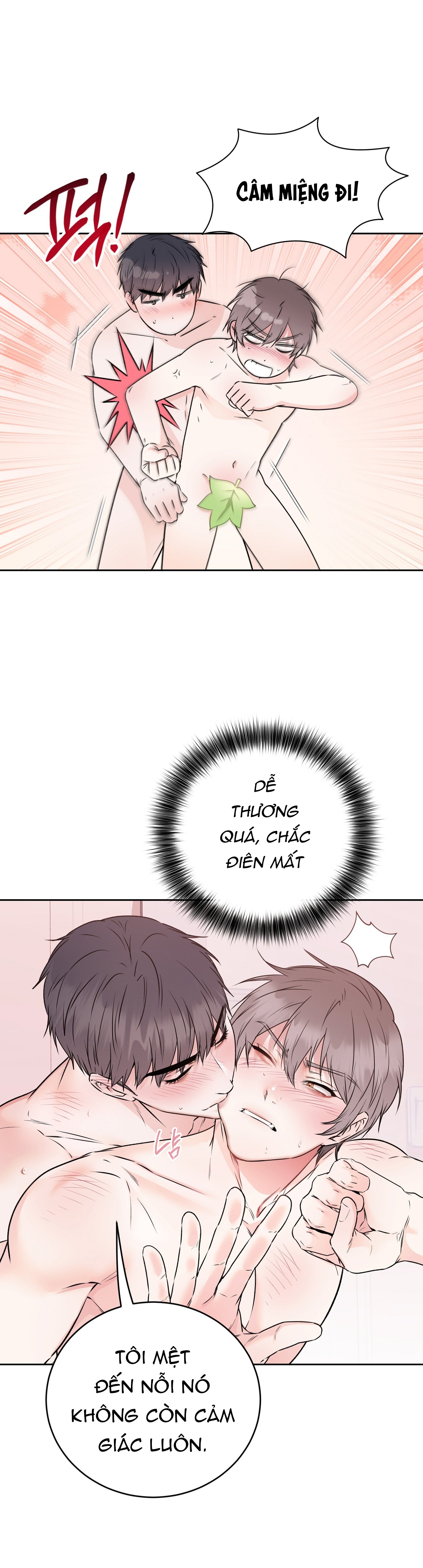 Chapter 19