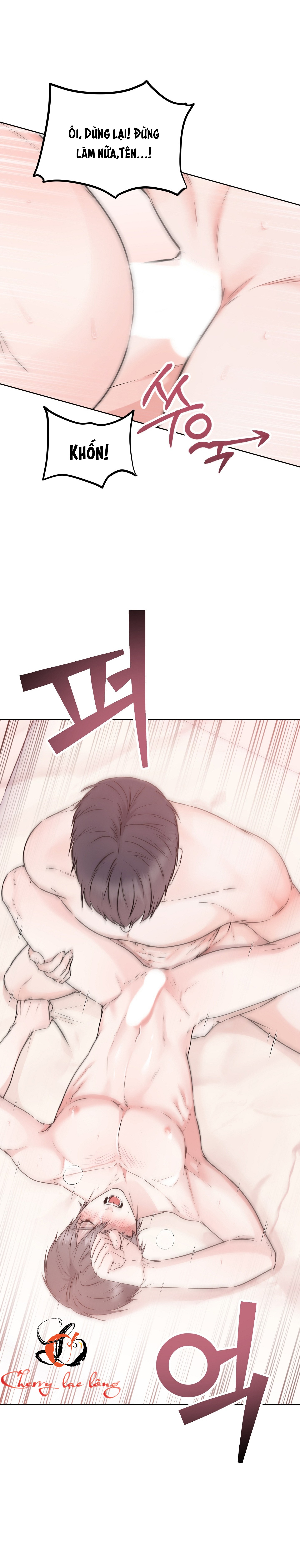 Chapter 19