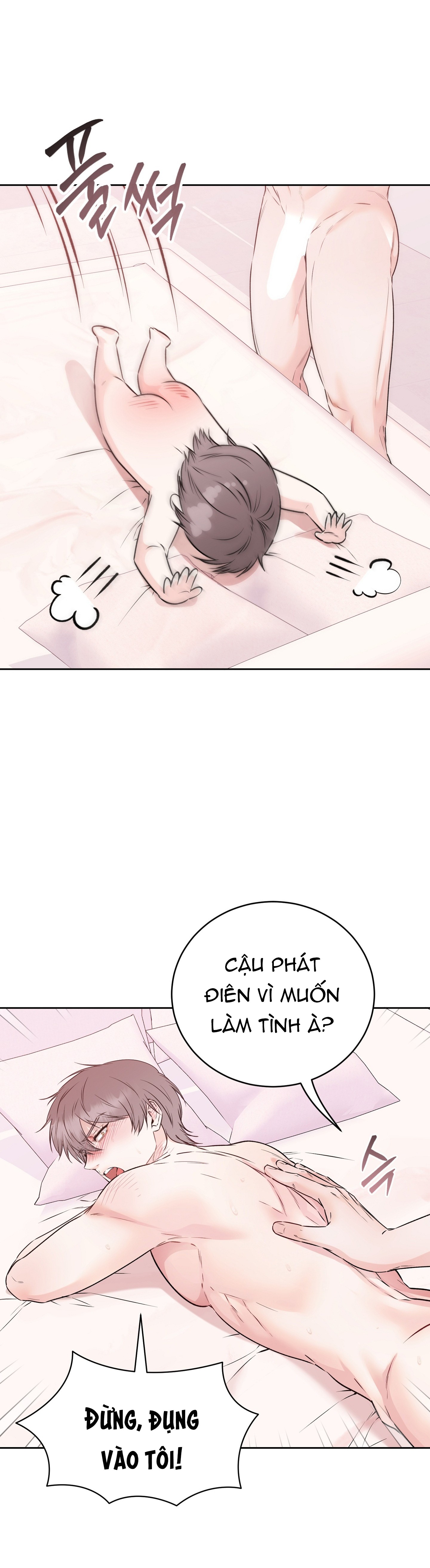 Chapter 19