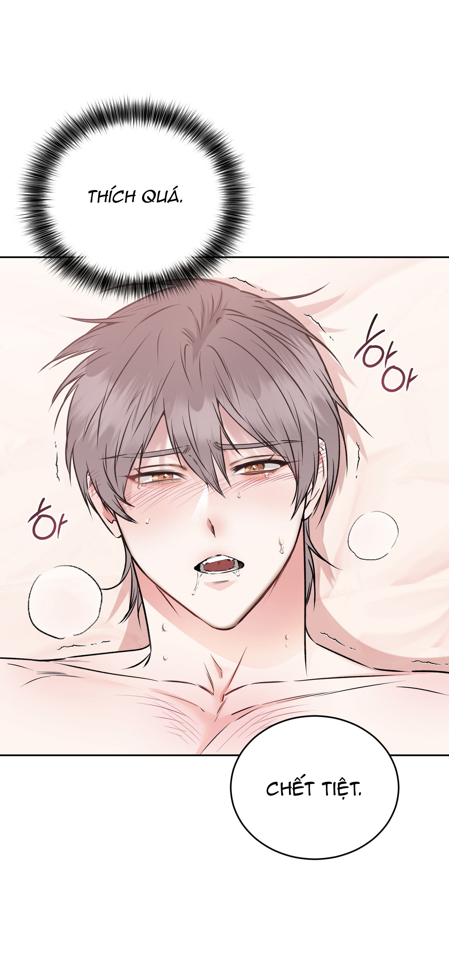 Chapter 19
