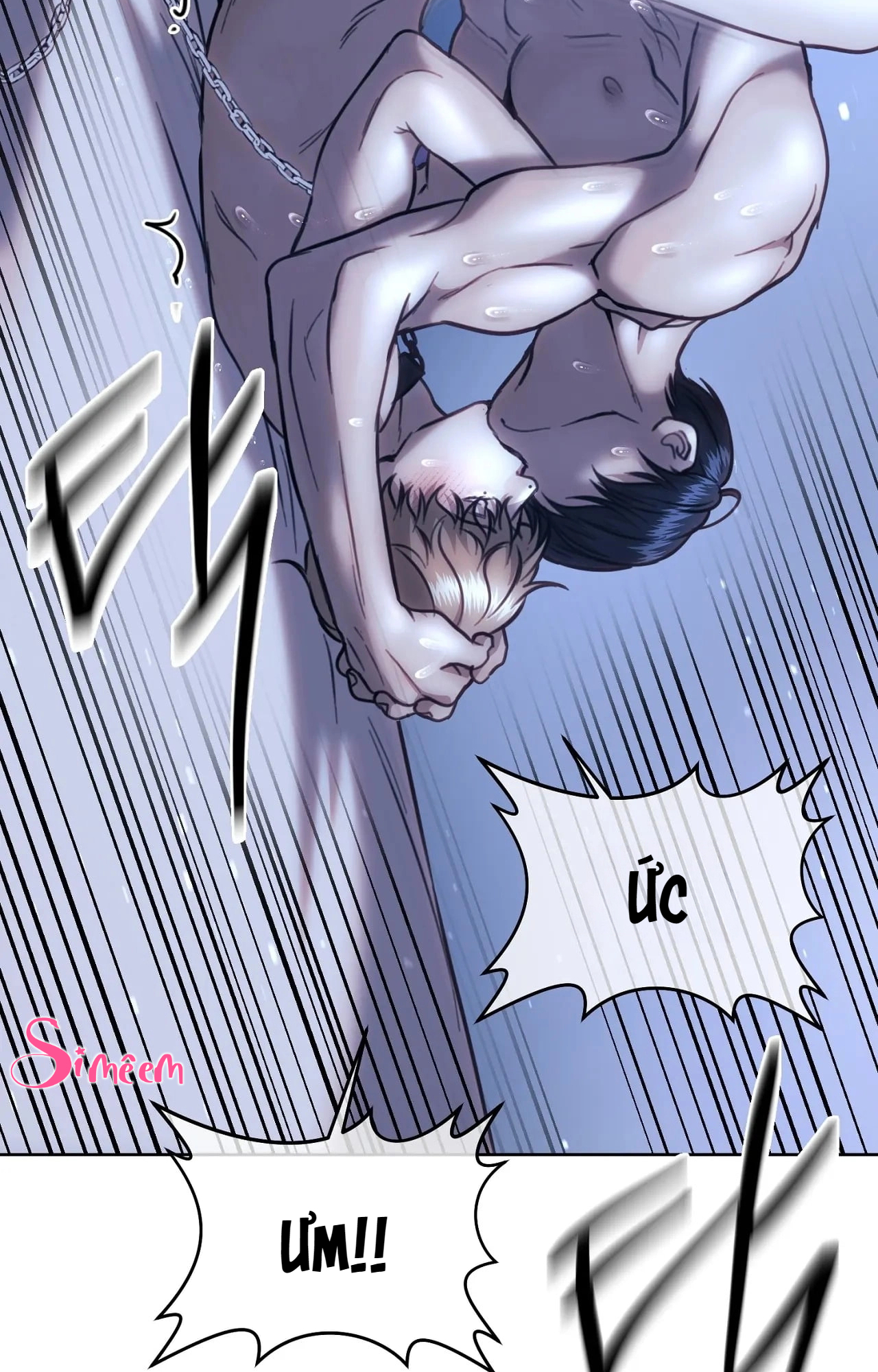 Chapter 205