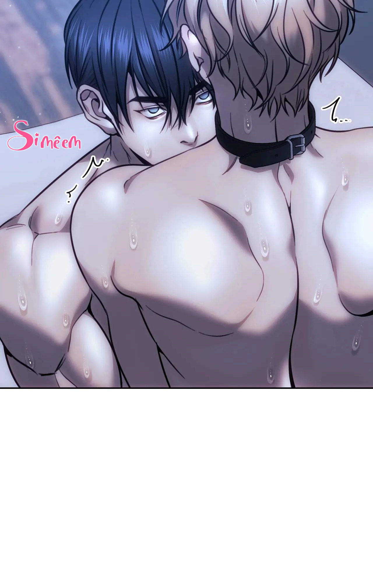 Chapter 205