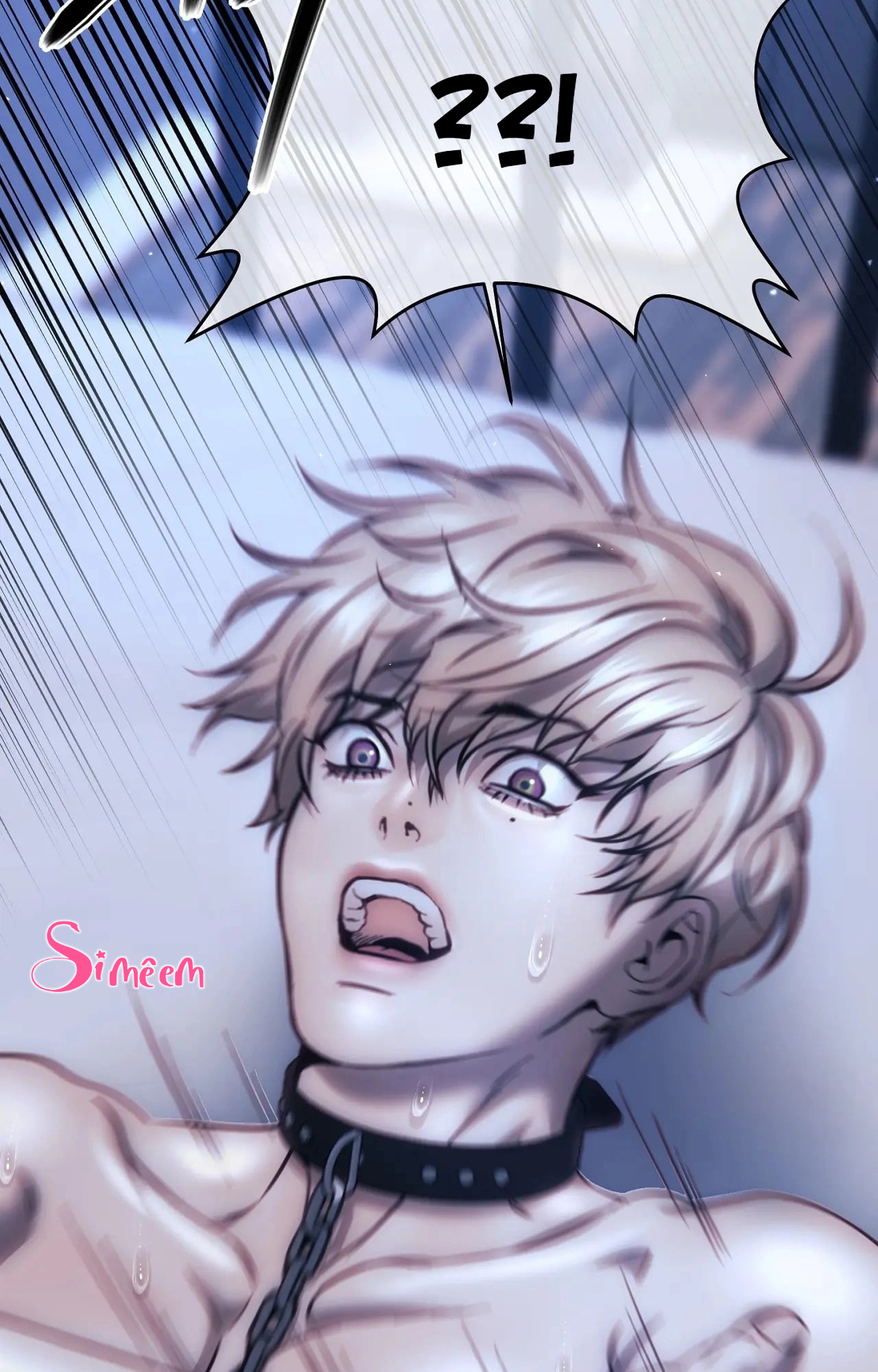 Chapter 205