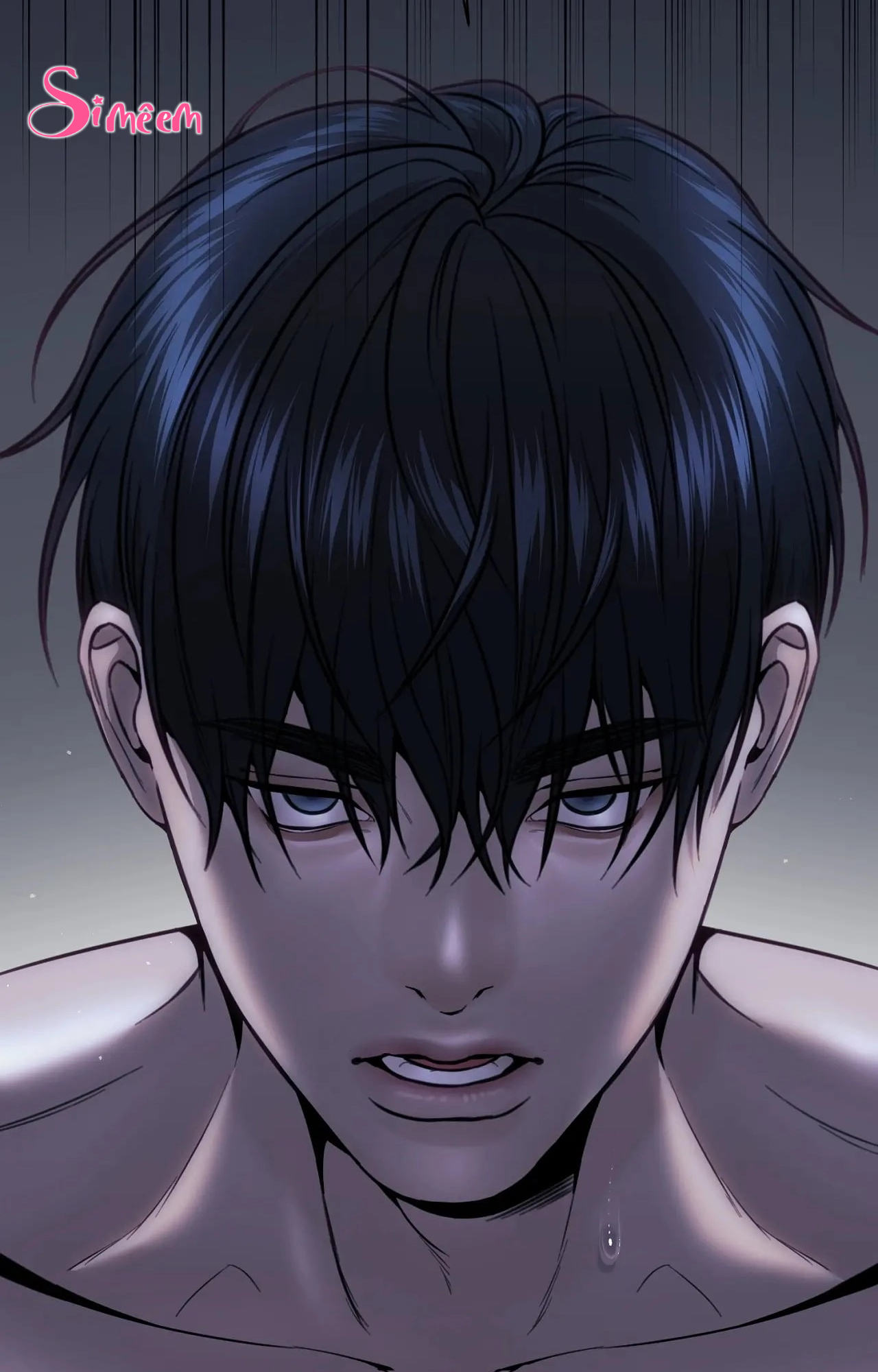 Chapter 205