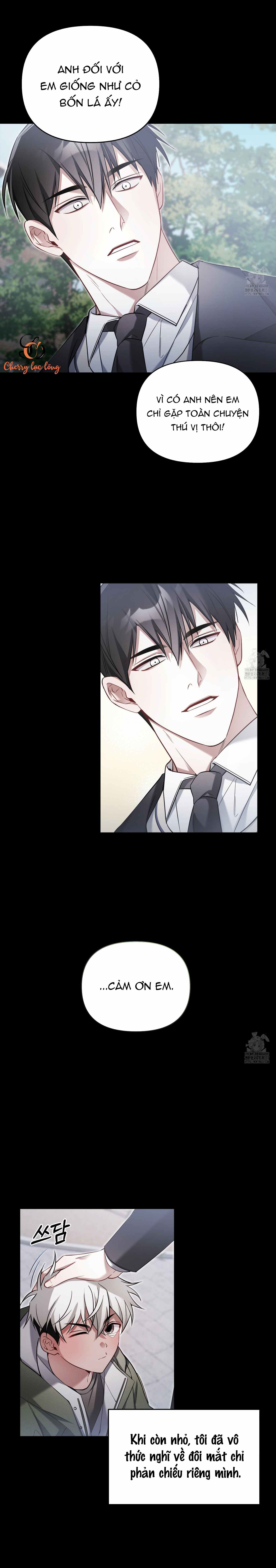 Chapter 163
