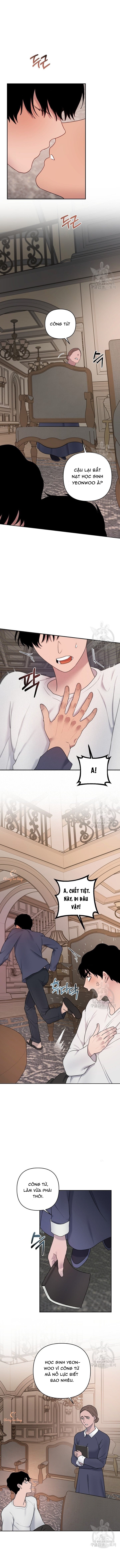 Chapter 167