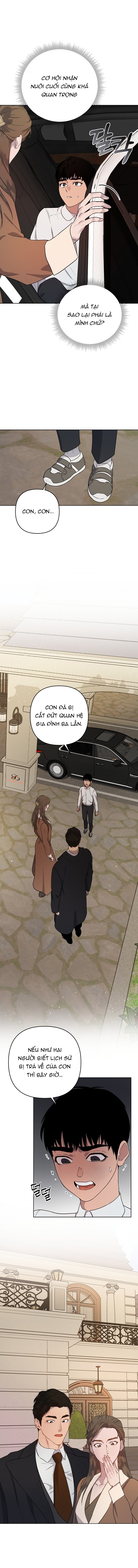 Chapter 165