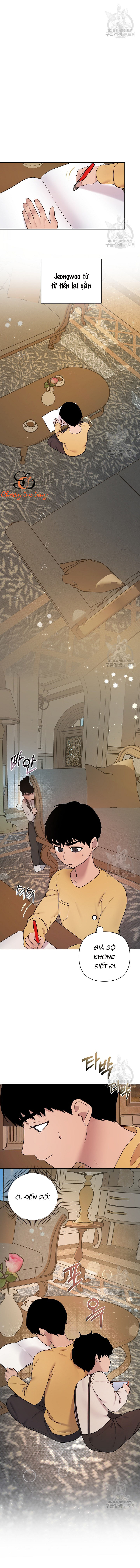 Chapter 166