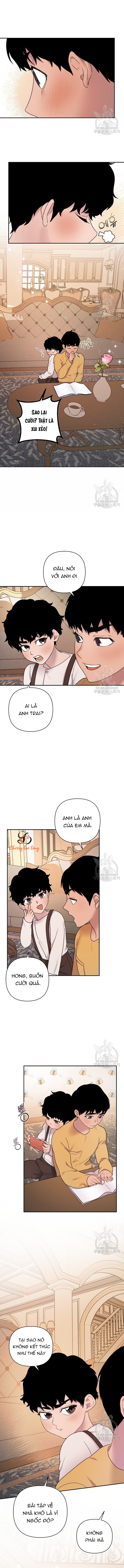 Chapter 166