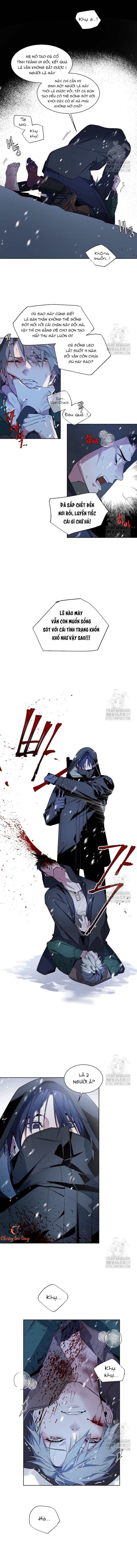Chapter 224