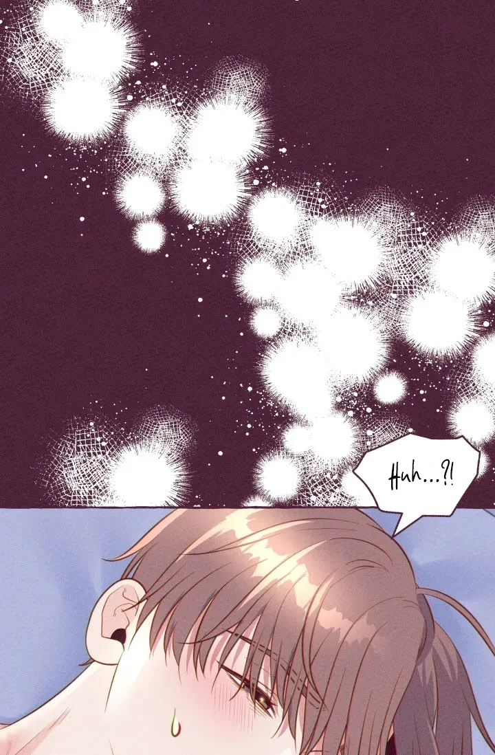 Chapter 208