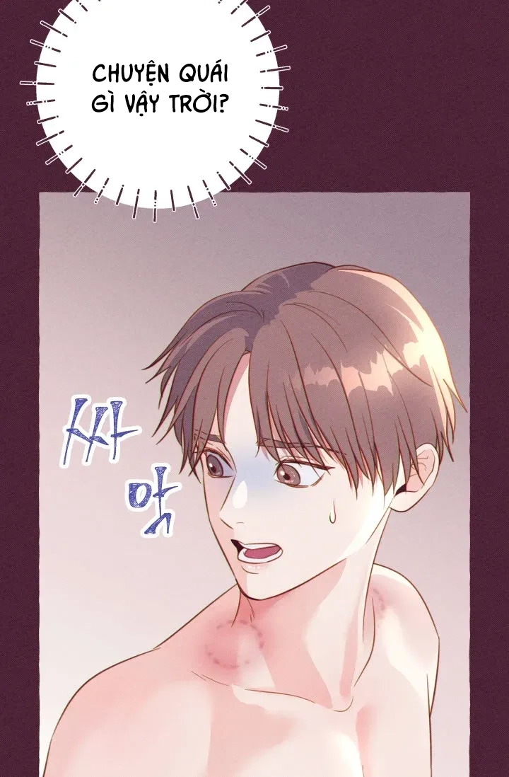 Chapter 208